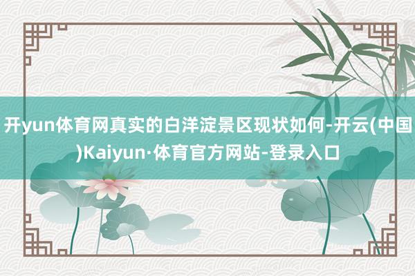 开yun体育网真实的白洋淀景区现状如何-开云(中国)Kaiyun·体育官方网站-登录入口