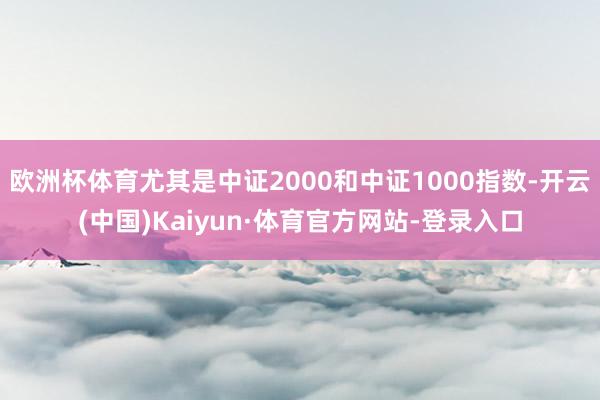 欧洲杯体育尤其是中证2000和中证1000指数-开云(中国)Kaiyun·体育官方网站-登录入口